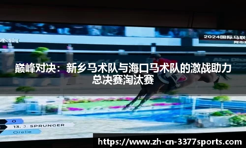巅峰对决:新乡马术队与海口马术队的激战助力总决赛淘汰赛